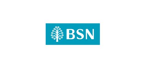 bsn-logo-vector | Pakar Wang