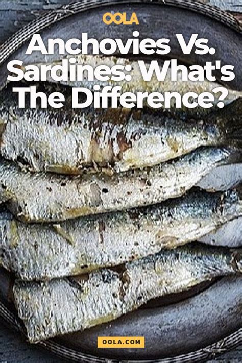 Anchovies Vs. Sardines: What's The Difference? Protein Diets, Protein Pack, Anchovy Recipes ...