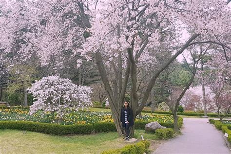 Nami Island & The Garden of Morning Calm: Day Trip from Seoul