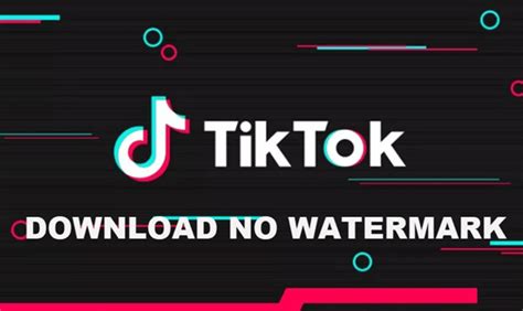 Tiktok no watermark app - kdavivid