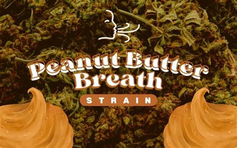 The Definitive Guide to the Peanut Butter Breath Strain