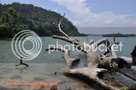 Turbineman's Log: A stroll around Tanjung Tuan trails