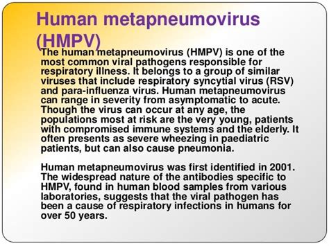 Human metapneumovirus (hmpv)