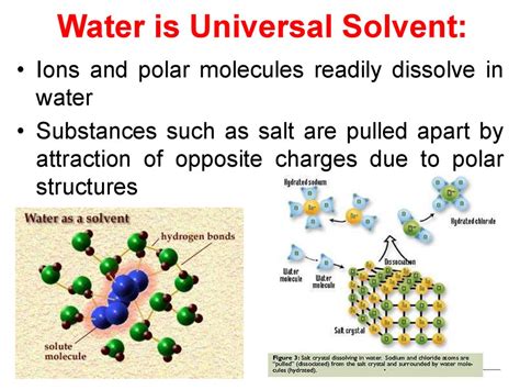 Water and its properties - презентация онлайн