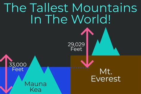 the tallest mountains in the world are shown with arrows pointing up and down to them