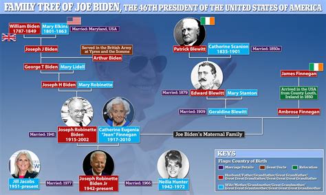 Biden Family Tree