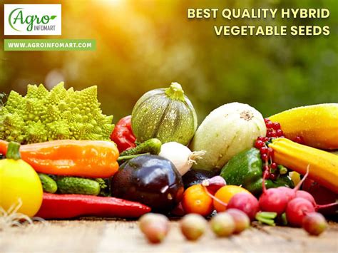 Hybrid vegetable seeds suppliers, wholesalers, manufacturers & exporters