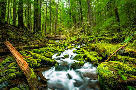 Olympic National Park, Washington - World Tribune