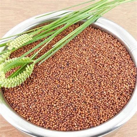 Organic Millets at best price in Bengaluru by Freshon | ID: 22408828762