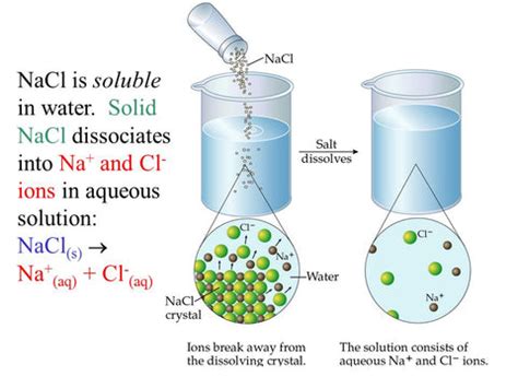 Plants need salts in their diets – Nutrients and Fertilizers