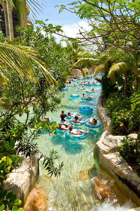 River Tube Ride | Dolphin Cay Bahamas | Atlantis Paradise Island - Best Island Attractions ...