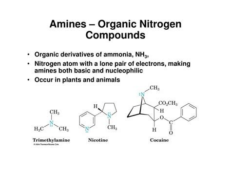 PPT - Chapter 24. Amines PowerPoint Presentation, free download - ID:6527064