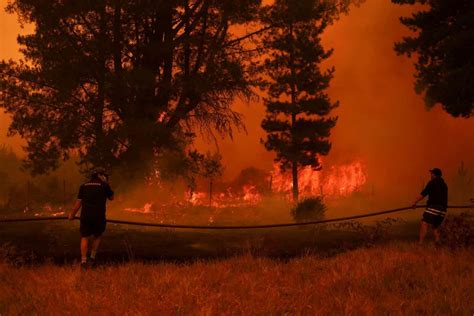 Les incendies de forêt qui brûlent au Chili sont parmi les plus meurtriers jamais enregistrés ...