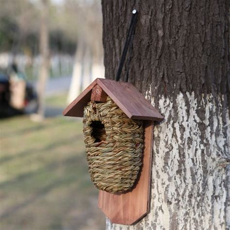 28 best images about wood hummingbird houses on Pinterest | Window bird ...