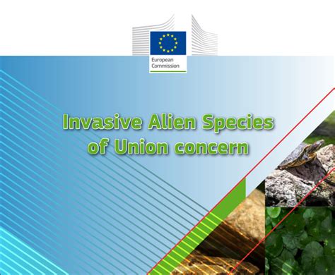 Invasive Alien Species: EU launches updated list - EUROPARC Federation