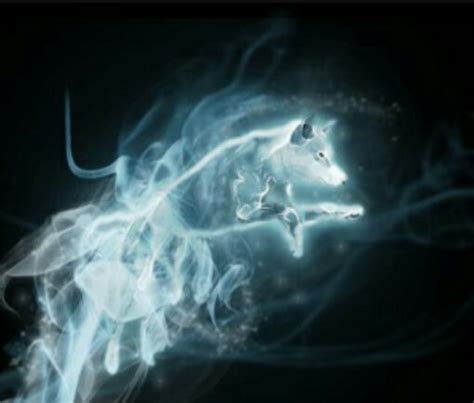 Wolf is my patronus | Harry Potter Amino