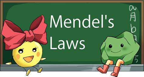 What Is Mendels First Law