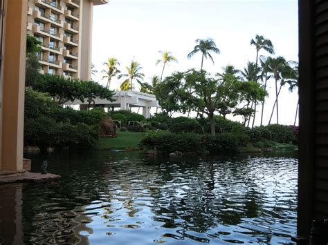 Hyatt Regency Maui Review - All You Need to Know