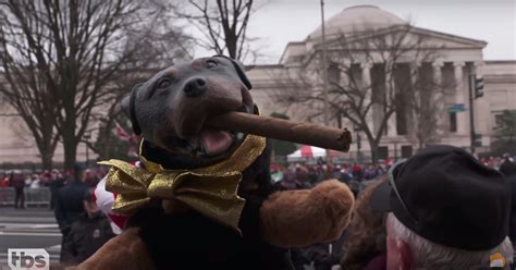 Watch Triumph the Insult Comic Dog Hound Trump Voters on 'Conan'