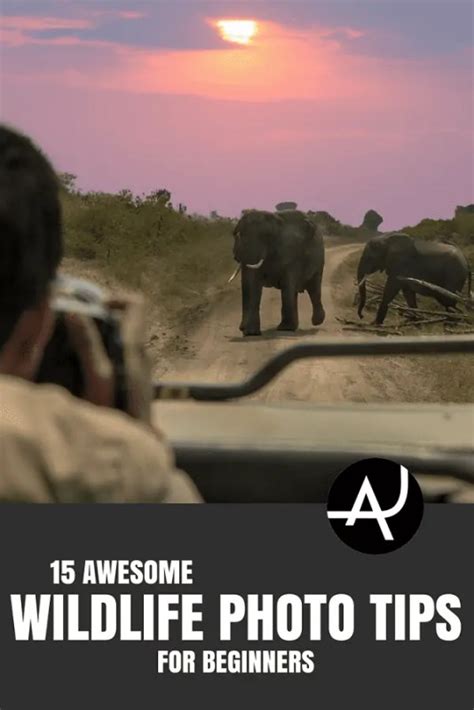 15 Wildlife Photography Tips For Beginners - The Adventure Junkies