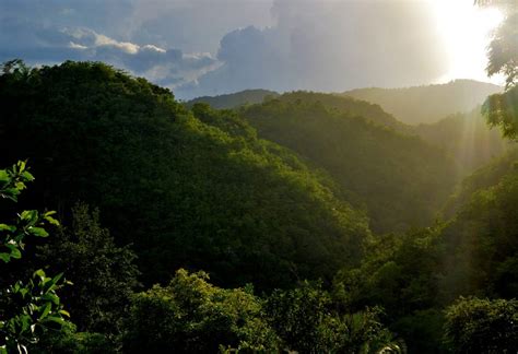 Four really good hiking trails in Jamaica | Experience Jamaique