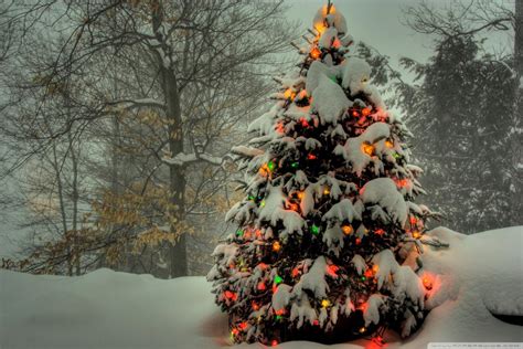 Bing Christmas Tree Wallpapers - Wallpaper Cave