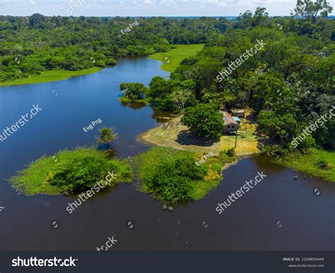 Aerial View Amazon Rainforest Brazil Incredible Stock Photo 2204850449 ...