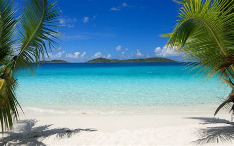 PixLith - Tropical Beach Scene Wallpaper