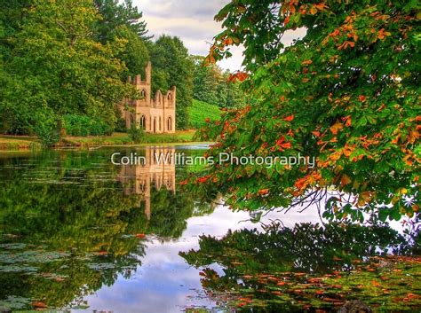 "Painshill Park - HDR - Autumn Reflections" by Colin Williams Photography | Redbubble