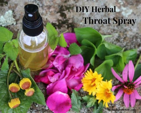 DIY Herbal Honey Sore Throat Spray Recipe | DIY Tag