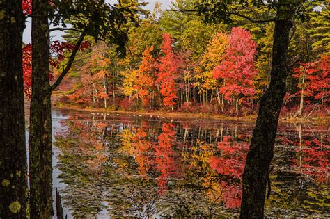 Quabbin reservoir fall foliage Photograph by Jeff Folger | Fine Art America