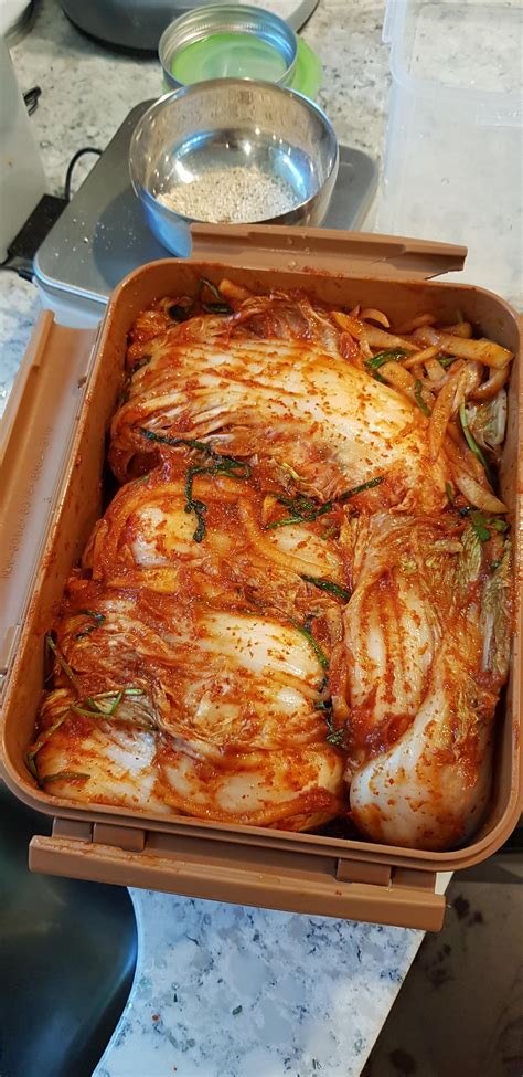 I love my new E-Jen Kimchi container. Serious step up from mason jars. : r/kimchi