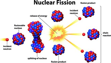 Meilenstein der Physikgeschichte: Die Entdeckung der Kernenergie - Lindau Nobel