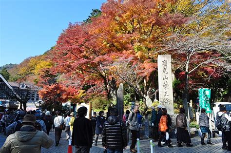 Mt. Takao Autumn Leaves Festival, Late Oct–Early Dec, 2023 | Tokyo Cheapo