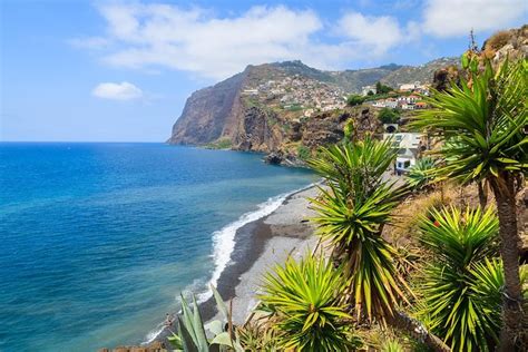 Camara De Lobos And Funchal Hop-On Hop-Off Bus Tour: Triphobo