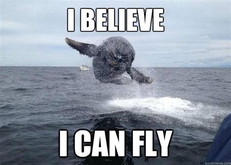 16 Whale Memes That Will Make You Laugh All Day