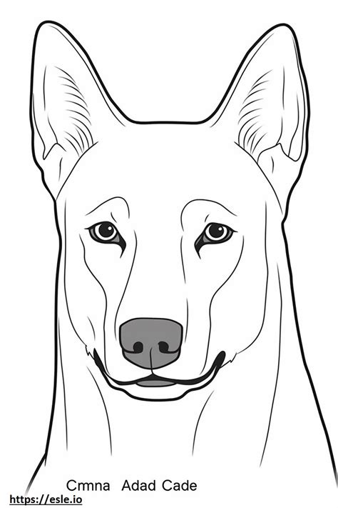 Carolina Dog face coloring page