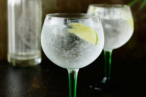 How To Make The Perfect Gin and Tonic - ILoveGin.com