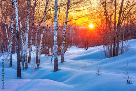 Colorful sunset in winter forest Stock Photo | Adobe Stock