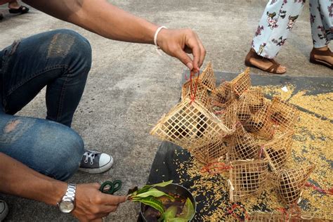 Bird Release from Wood Cage in Thai Temple Stock Photo - Image of thai ...