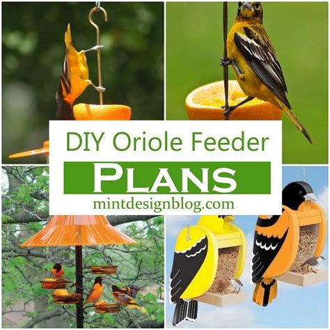 11 DIY Oriole Feeder Plans To Invite Birds In Your Garden - Mint Design ...