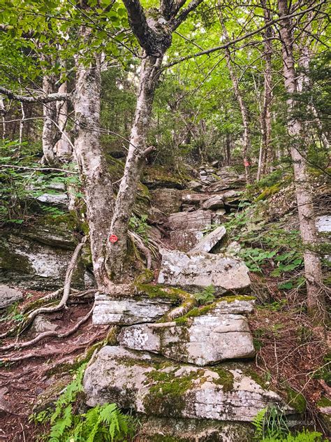 Hike Sugarloaf Mountain (Best Route) | Catskills Hiking Trail