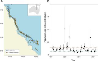 High germline mutation rates, but not extreme population outbreaks ...