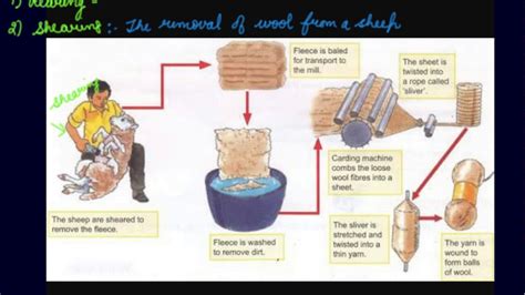 Process of Making Wool From Fibres | Class 7 Chemistry Fibre to Fabric ...