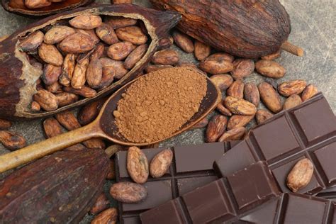 A short and sweet history of chocolate and its health benefits | The ...