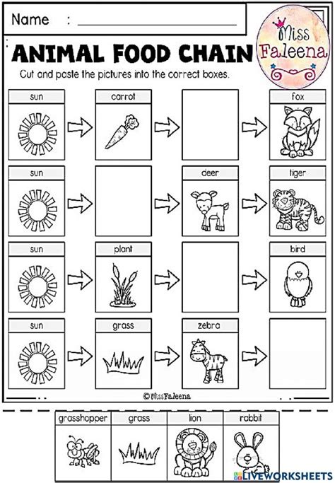 Food Chain Worksheet Pdf in 2023 | Kindergarten science, Life science classroom, Science worksheets