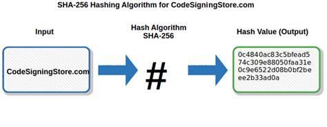 Hash Algorithm Comparison: MD5, SHA-1, SHA-2 & SHA-3