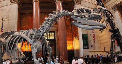 A Guide to the American Museum of Natural History in NYC