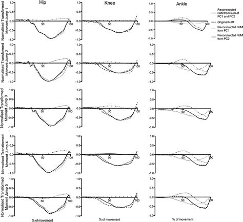 Frontiers | Principal Component Analysis Reveals the Proximal to Distal Pattern in Vertical ...