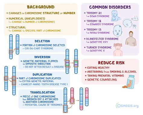 Chromosomal Aberrations: What Are They, Causes, and More | Osmosis